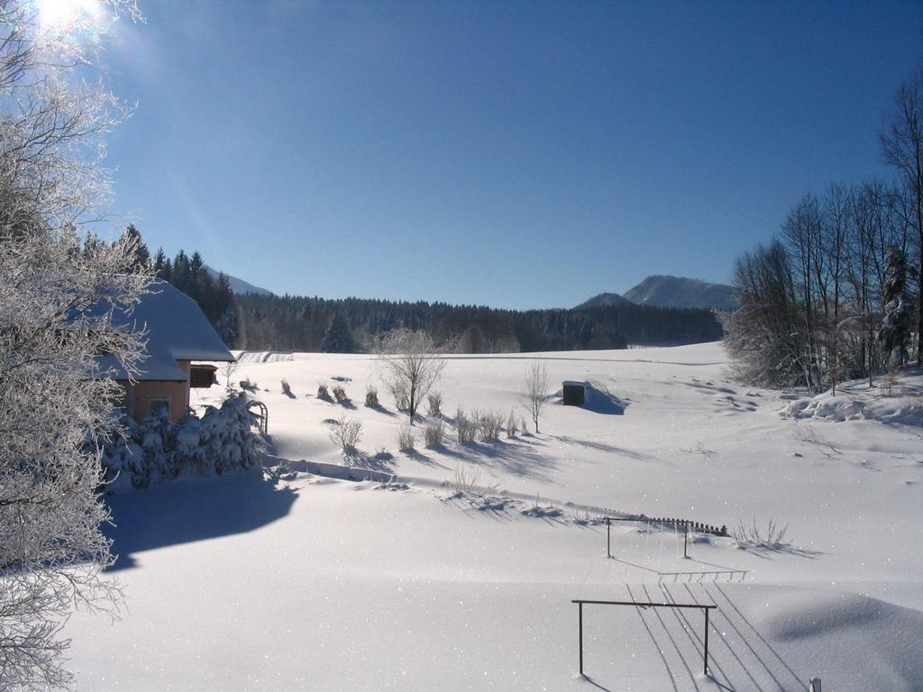 Pension Waldhof Koppl Exterior photo